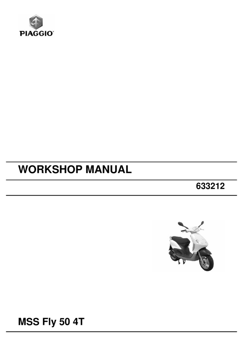 PIAGGIO MSS Fly 50 4T Instruction manual