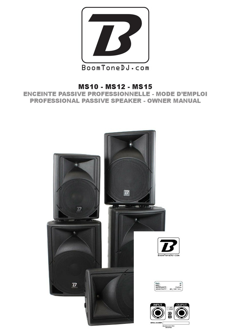 BoomToneDJ MS10 owner's manual