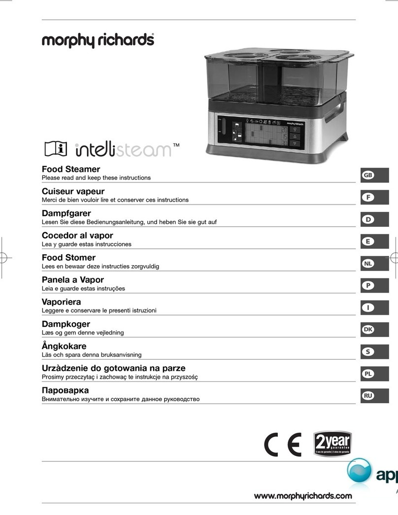 Morphy Richards Intellisteam User manual