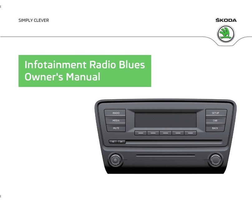 Skoda Infotainment Radio Blues User manual