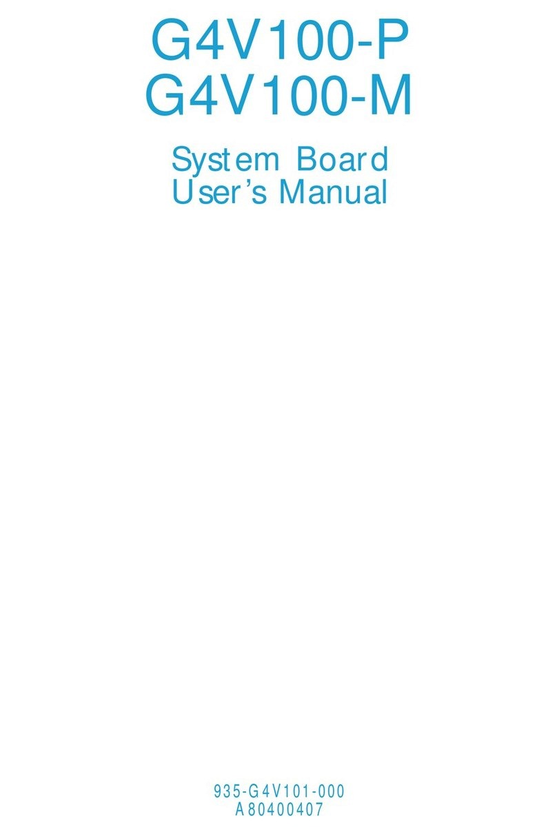 DFI G4V100-P User manual