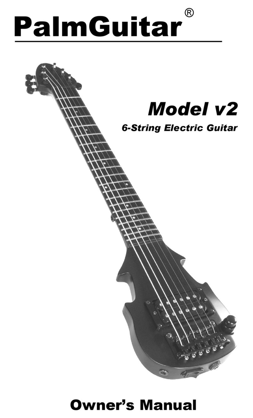 PalmGuitar v2 User manual