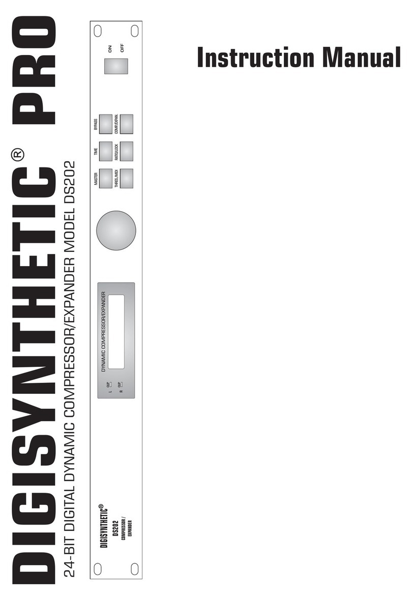 DIGISYNTHETIC DS202 instruction manual