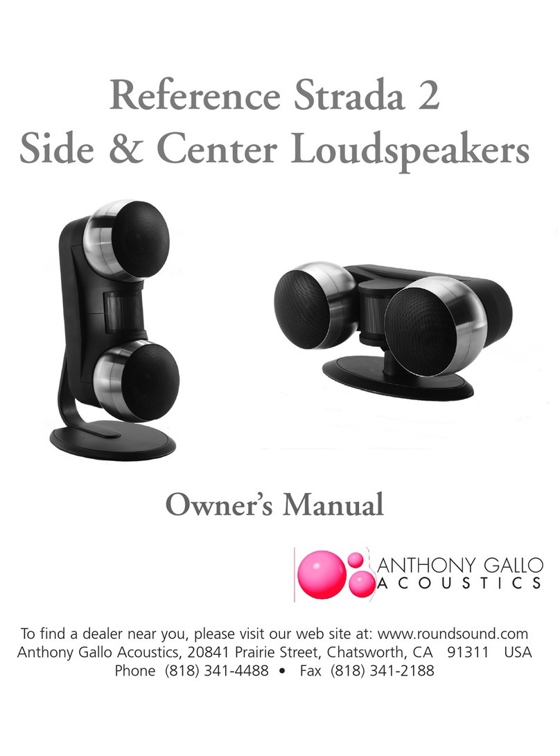 Anthony Gallo Acoustics Reference Strada 2 User manual