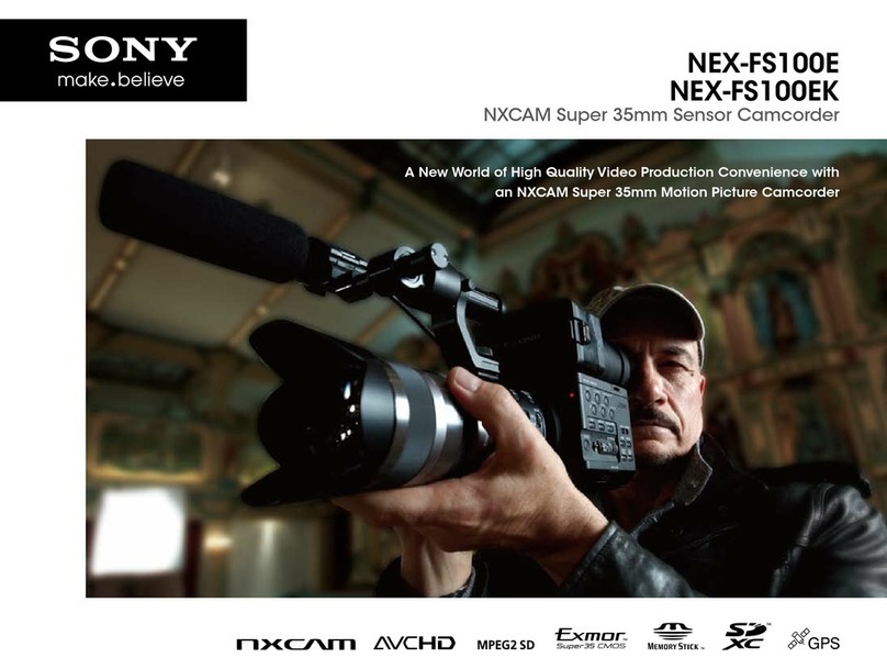 Sony NEX-FS100E User manual