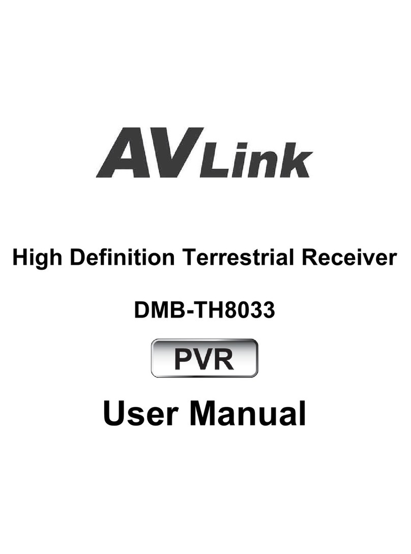 AVLink DMB-TH8033 user manual