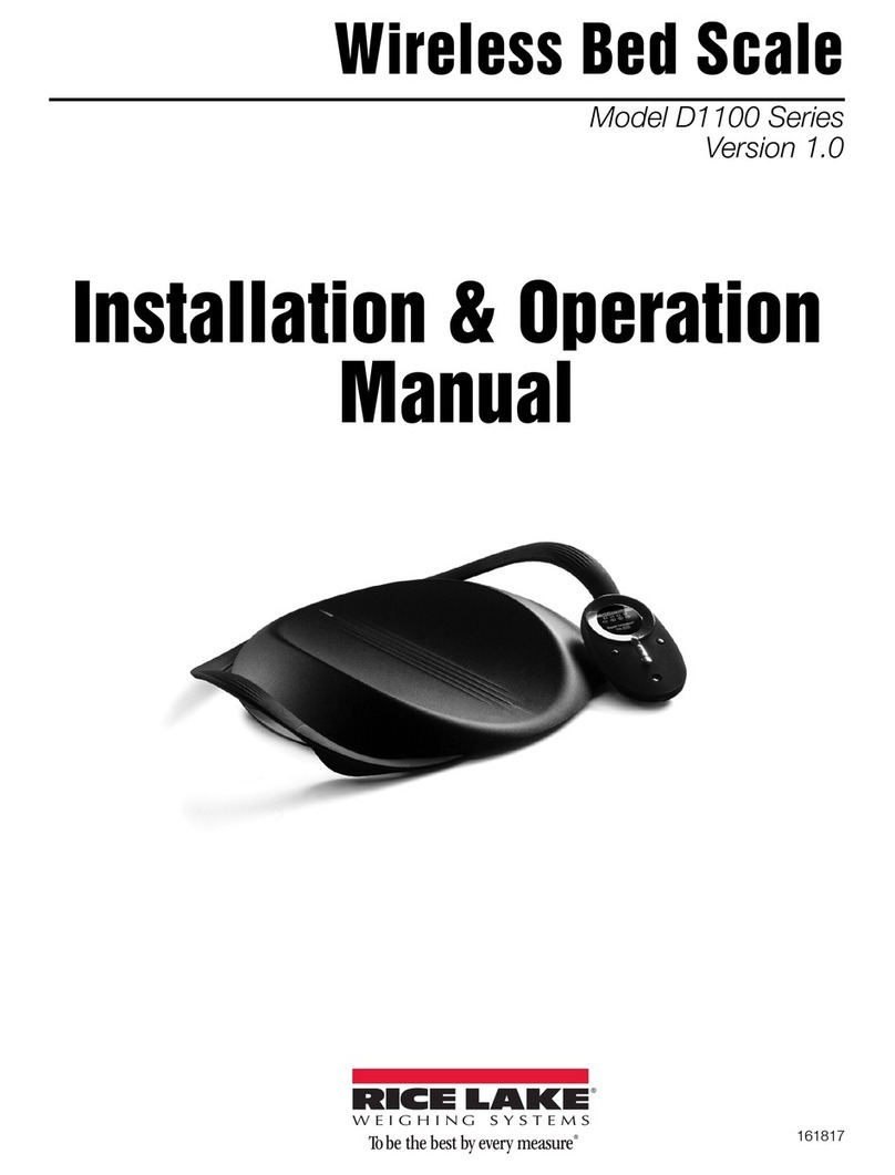 Rice Lake D1100 Series Installation & operation manual