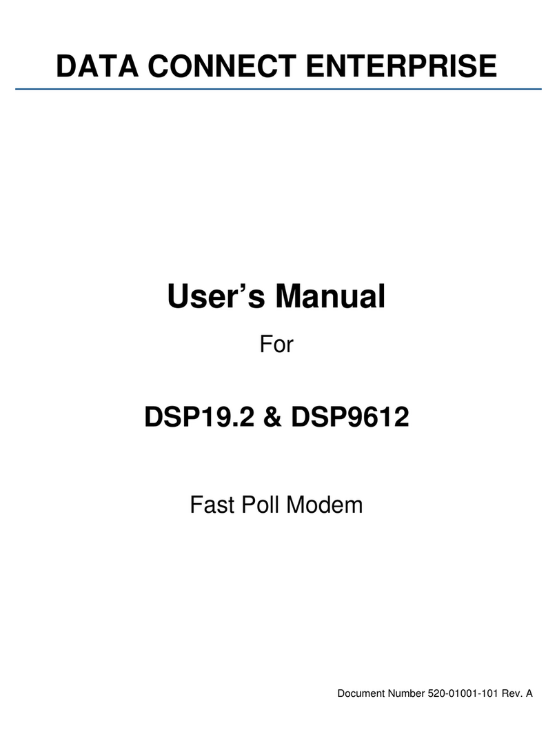 Data Connect DSP19.2 user manual