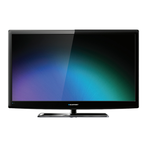 Blaupunkt DVB-T User manual