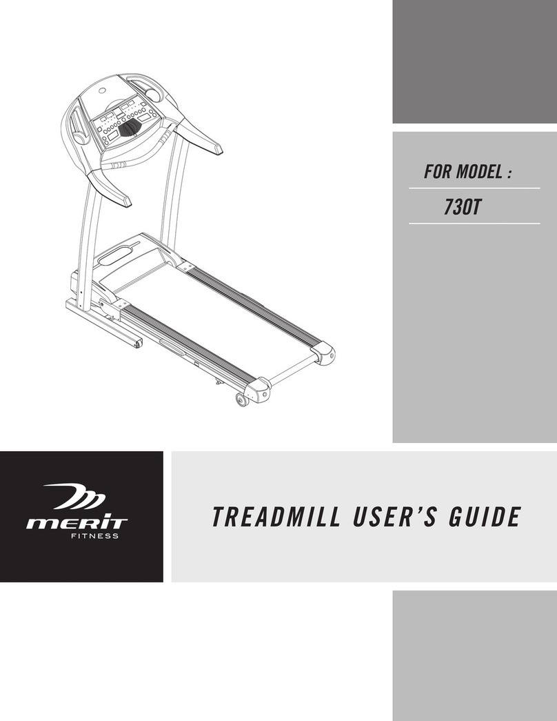 Merit 730T user guide