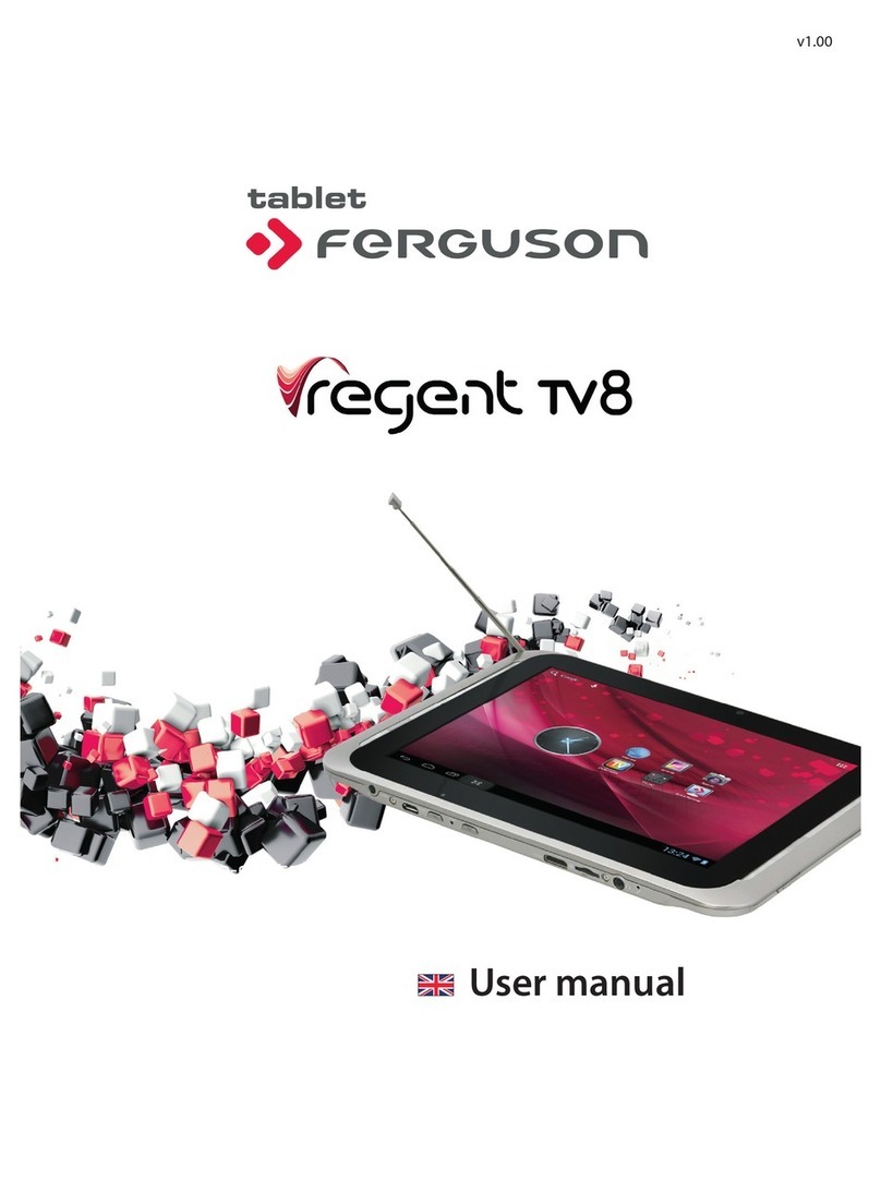 Ferguson Vregent TV8 user manual