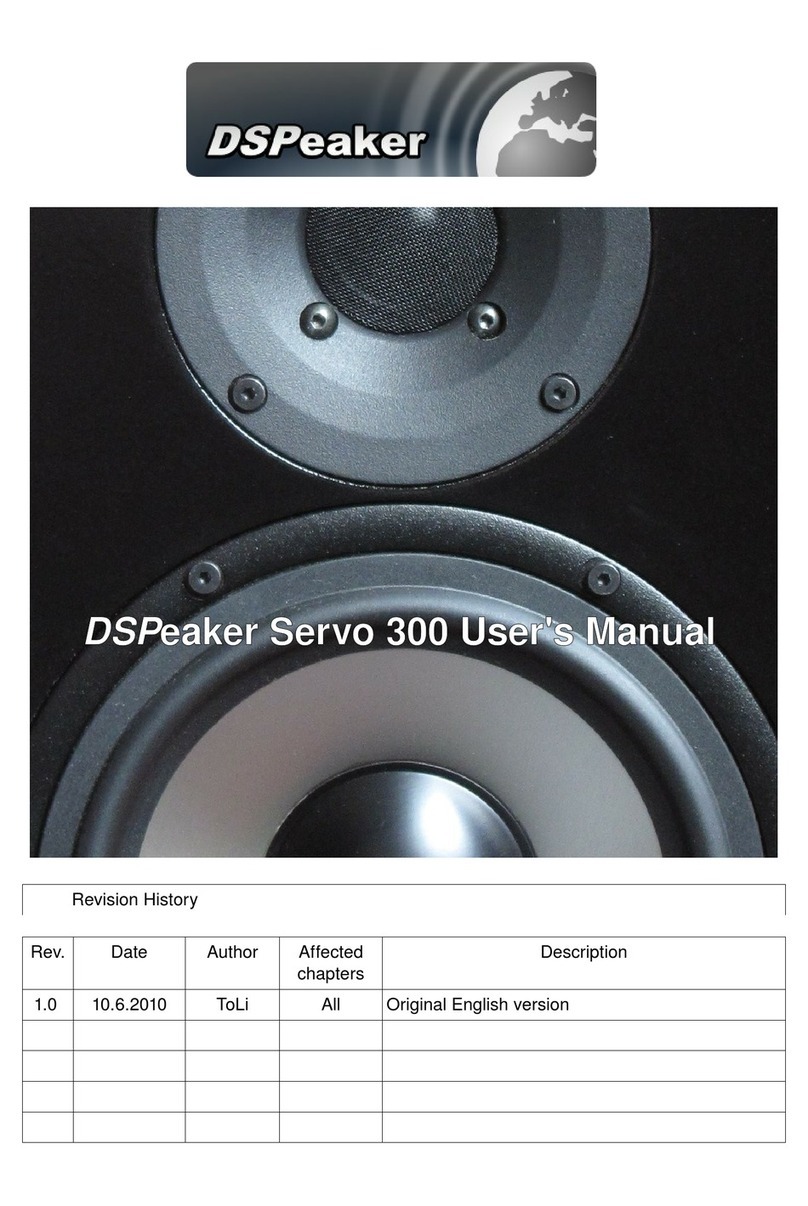 DSPeaker Servo 300 user manual