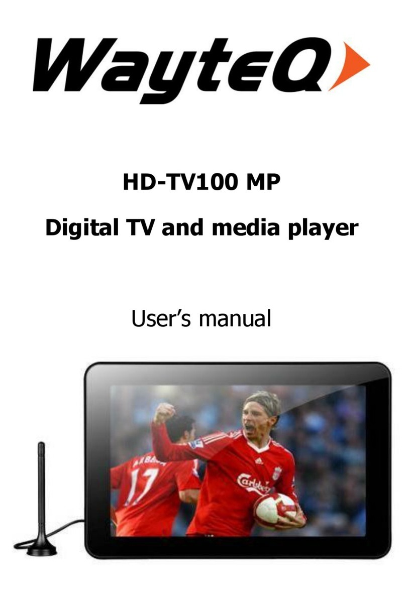 WayteQ HD-TV100 MP user manual