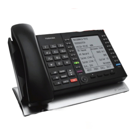 Toshiba VIPedge User manual Toshiba VIPedge User manual