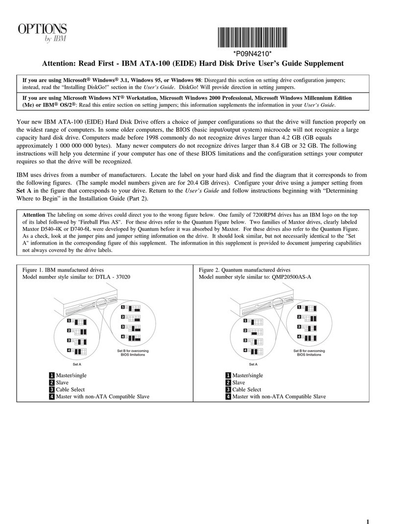 IBM ATA-100 User manual