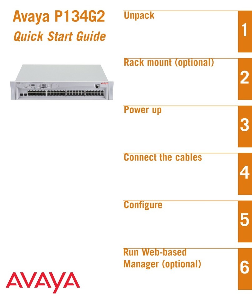 Avaya P134G2 User manual