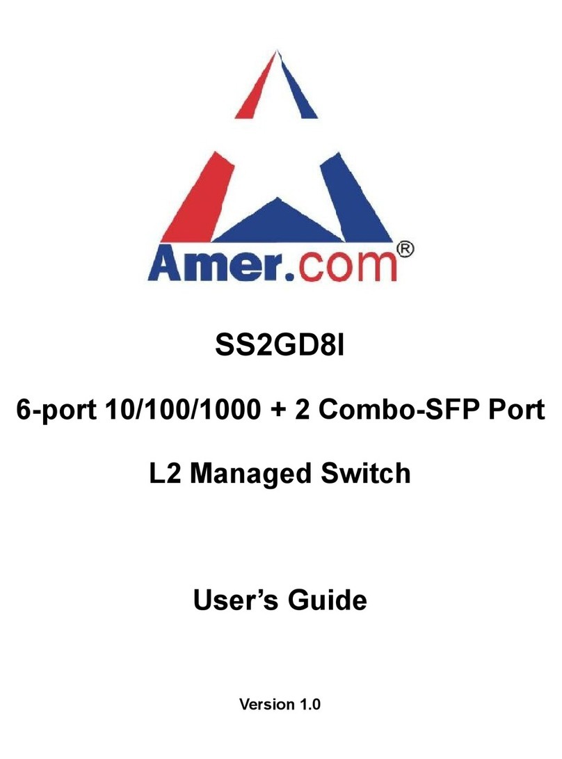 Amer.com SS2GD8I User manual