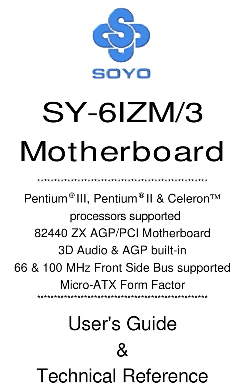 SOYO SY-6IZM user guide