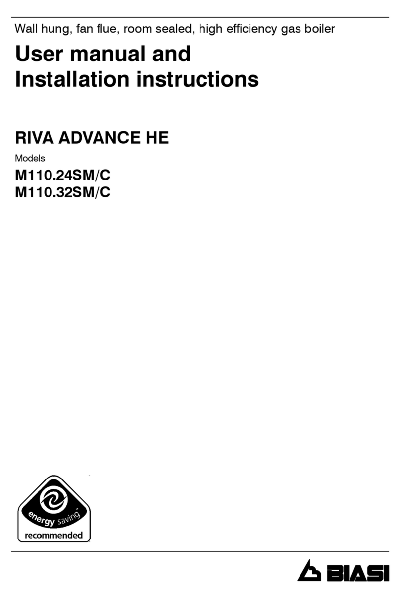 Biasi RIVA ADVANCE HE M110.24SM User manual