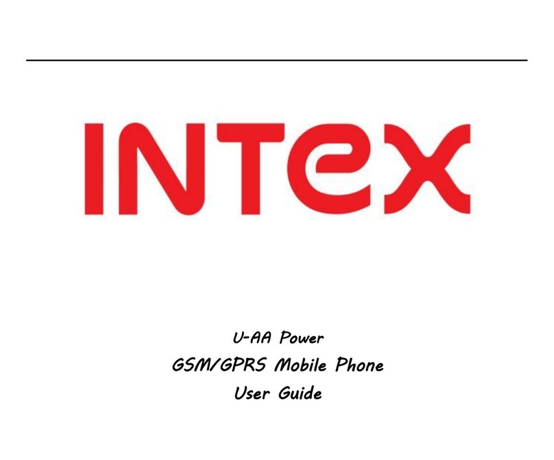 Intex U-AA Power User manual