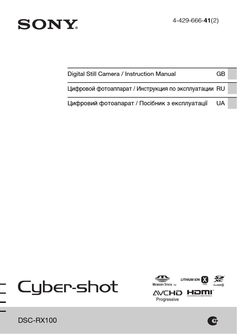 Sony Cyber-shot DSC-RX100 User manual