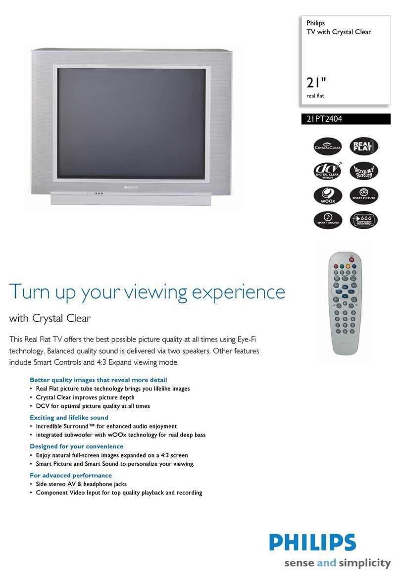 Philips 21PT2404 User manual