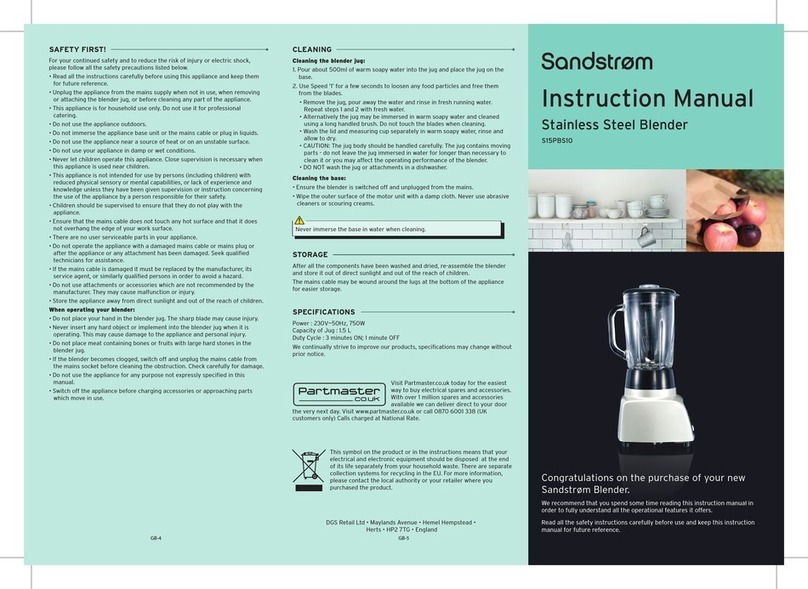 Sandstrom S15PBS10 instruction manual