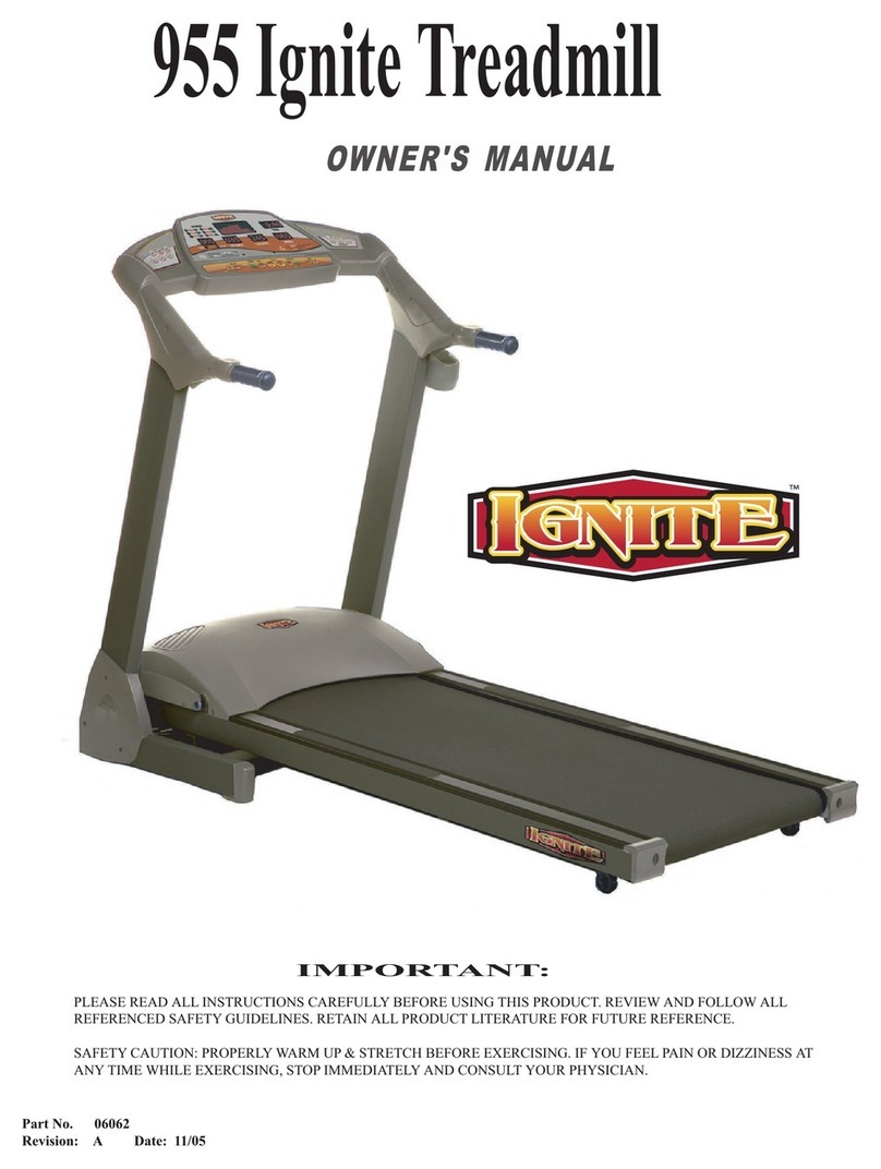 Ignite 955 owner's manual