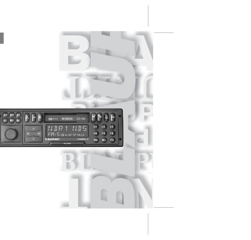 Blaupunkt Pasadena DJ User manual