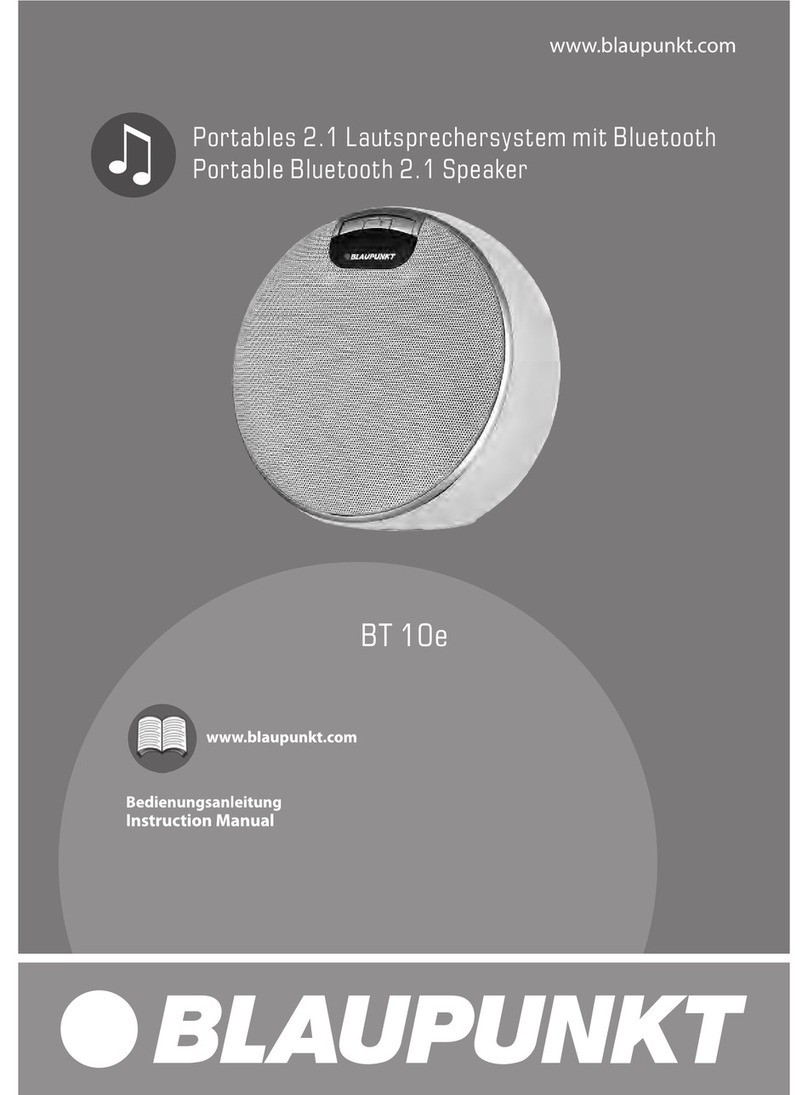 Blaupunkt BT 10e User manual