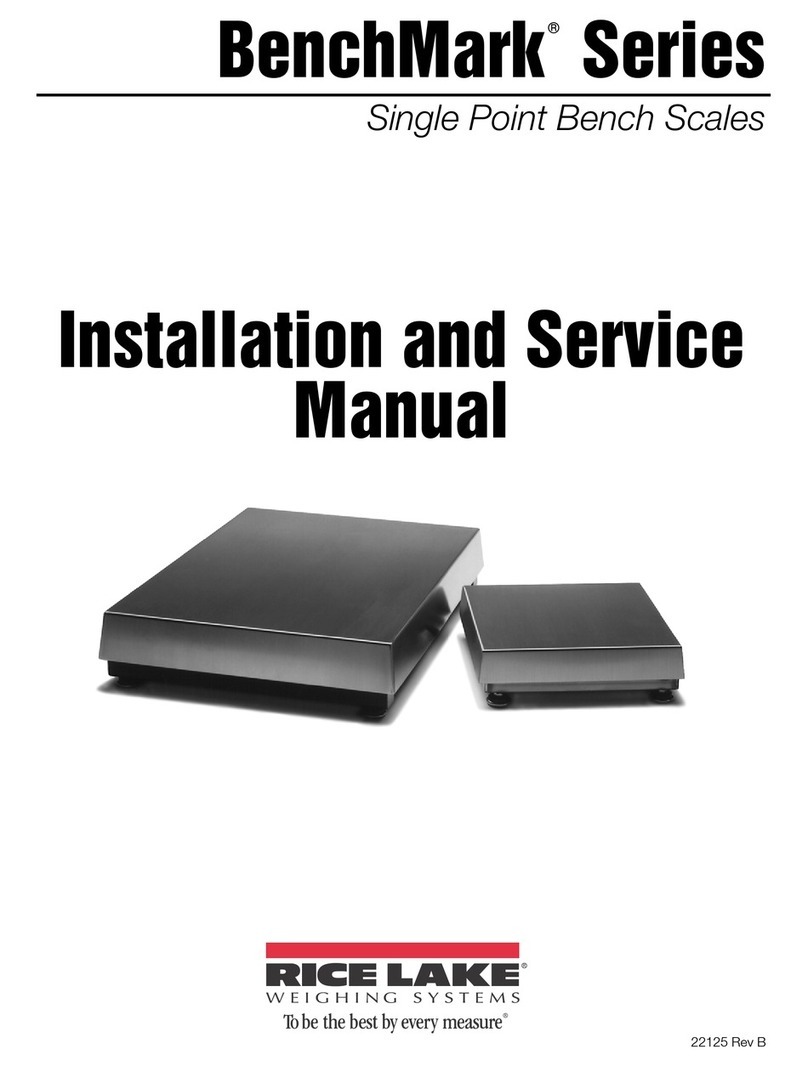 Rice Lake BenchMark Series Manual