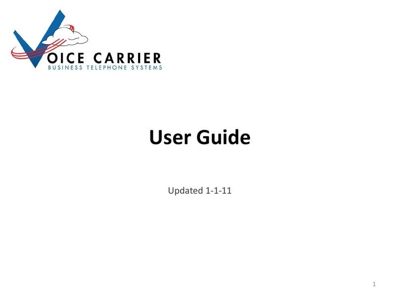 Voice Carrier Phone user guide