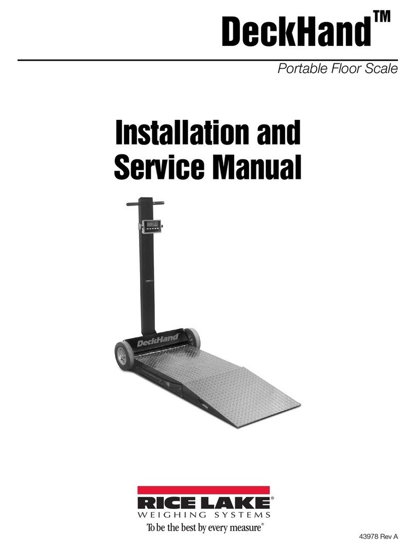 Rice Lake DeckHand Installation and service manual