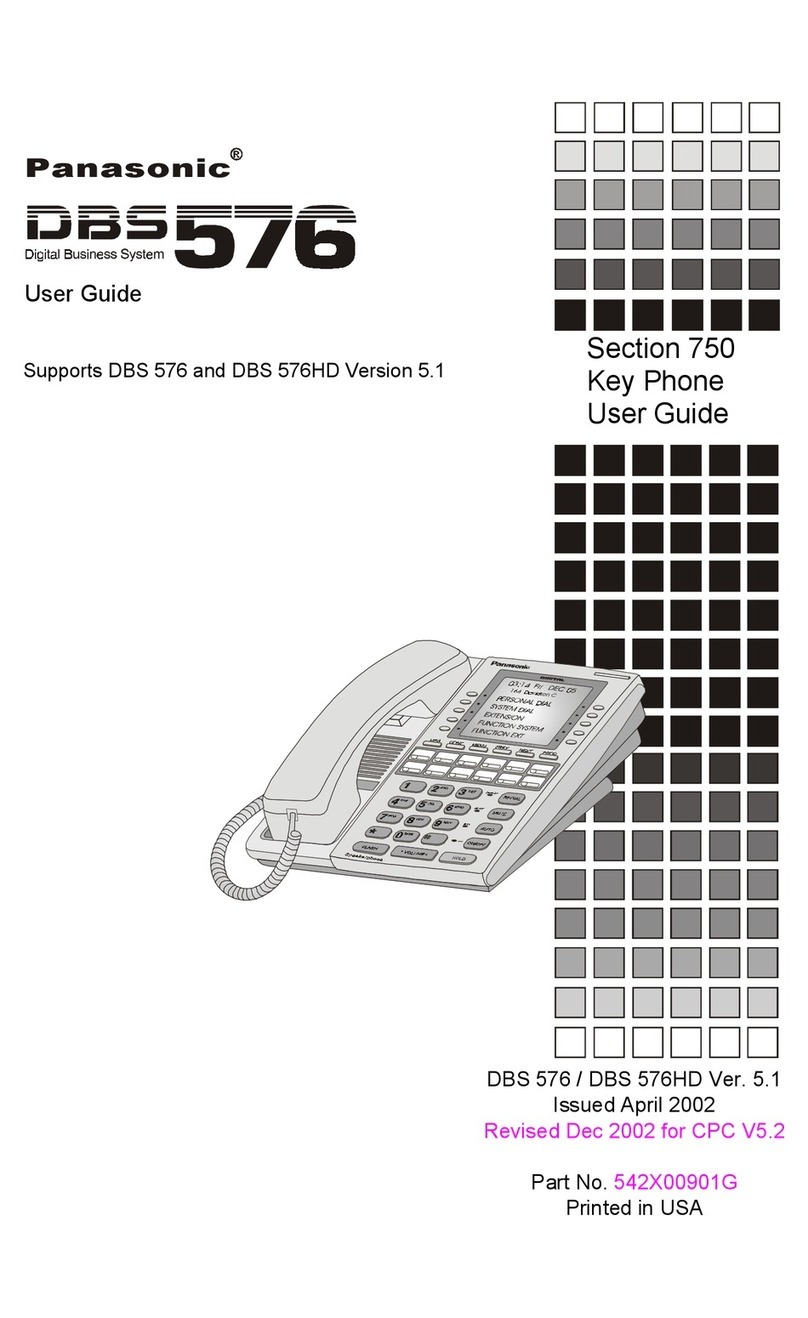 Panasonic DBS 576 Section 300 User manual