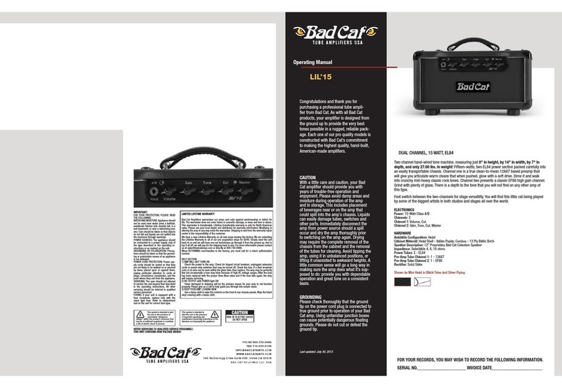 Bad Cat LIL'15 operating manual
