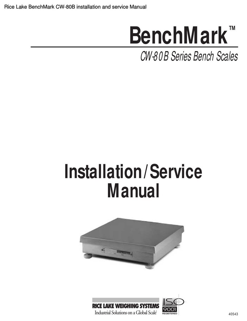 Rice Lake BenchMark CW-80B Series Manual