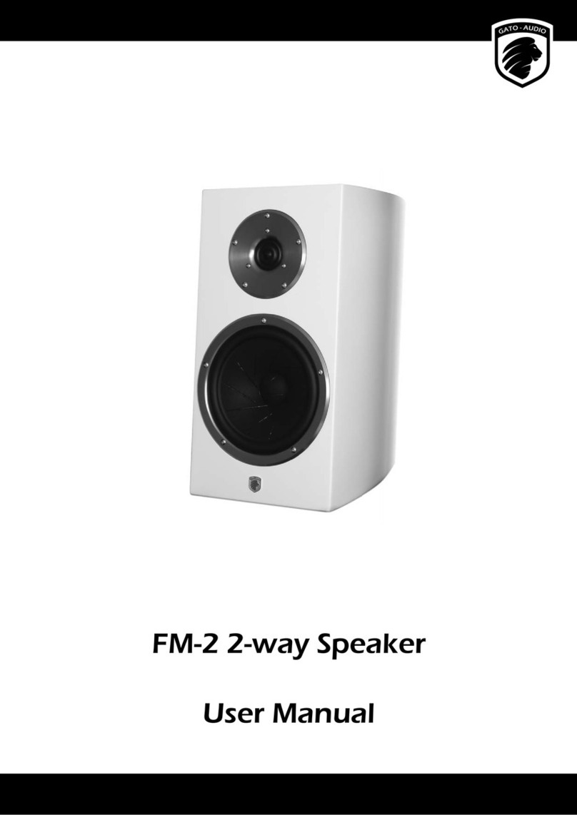 Gato Audio FM-2 user manual