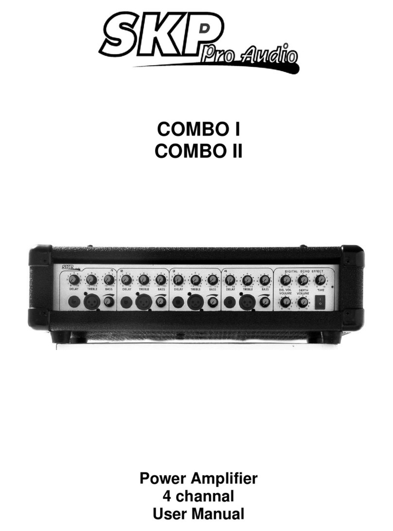 SKP Pro Audio COMBO I user manual