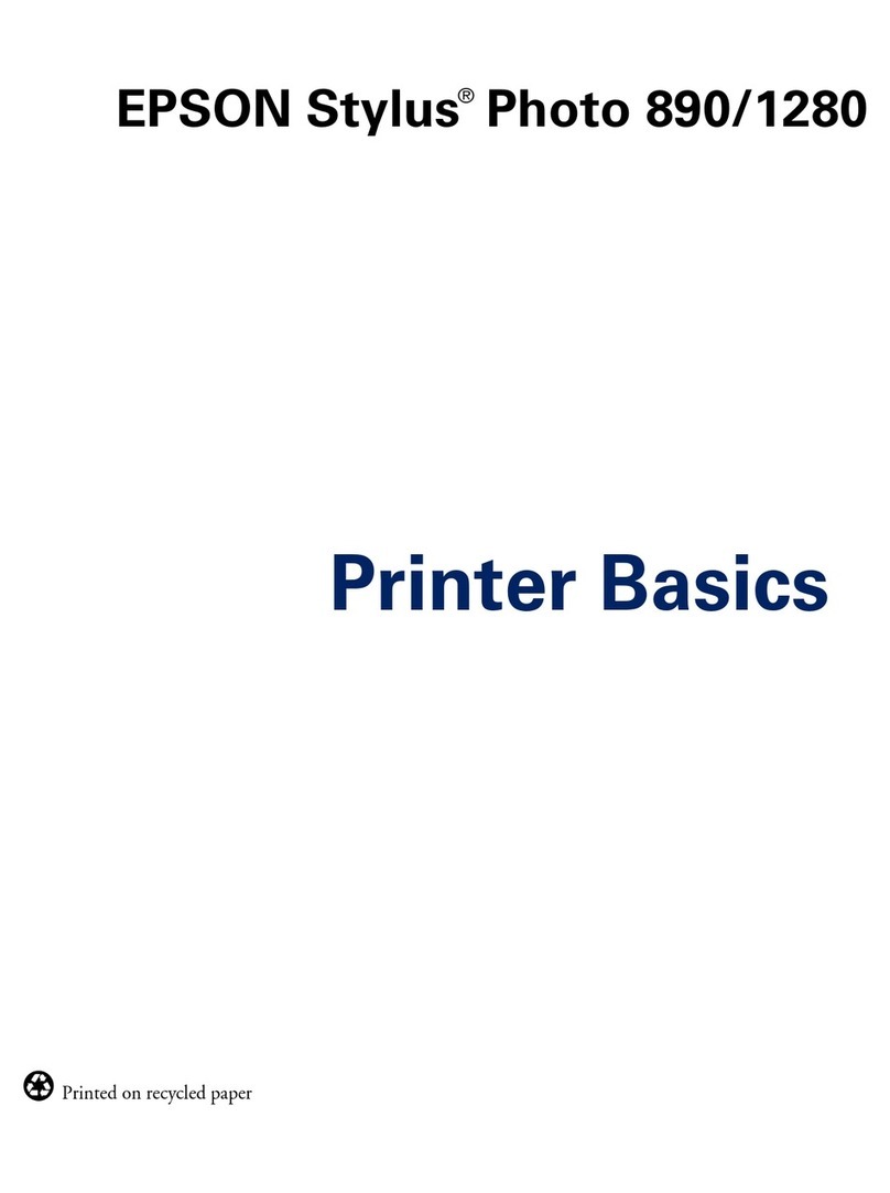 Epson Stylus Photo 890 User guide