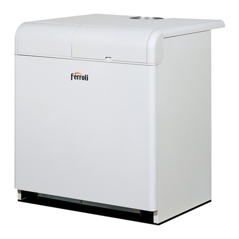 Ferroli PEGASUS F2 N 2S Instructions for use, installation and maintenance