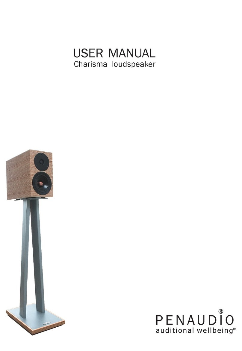 PENAUDIO Charisma user manual