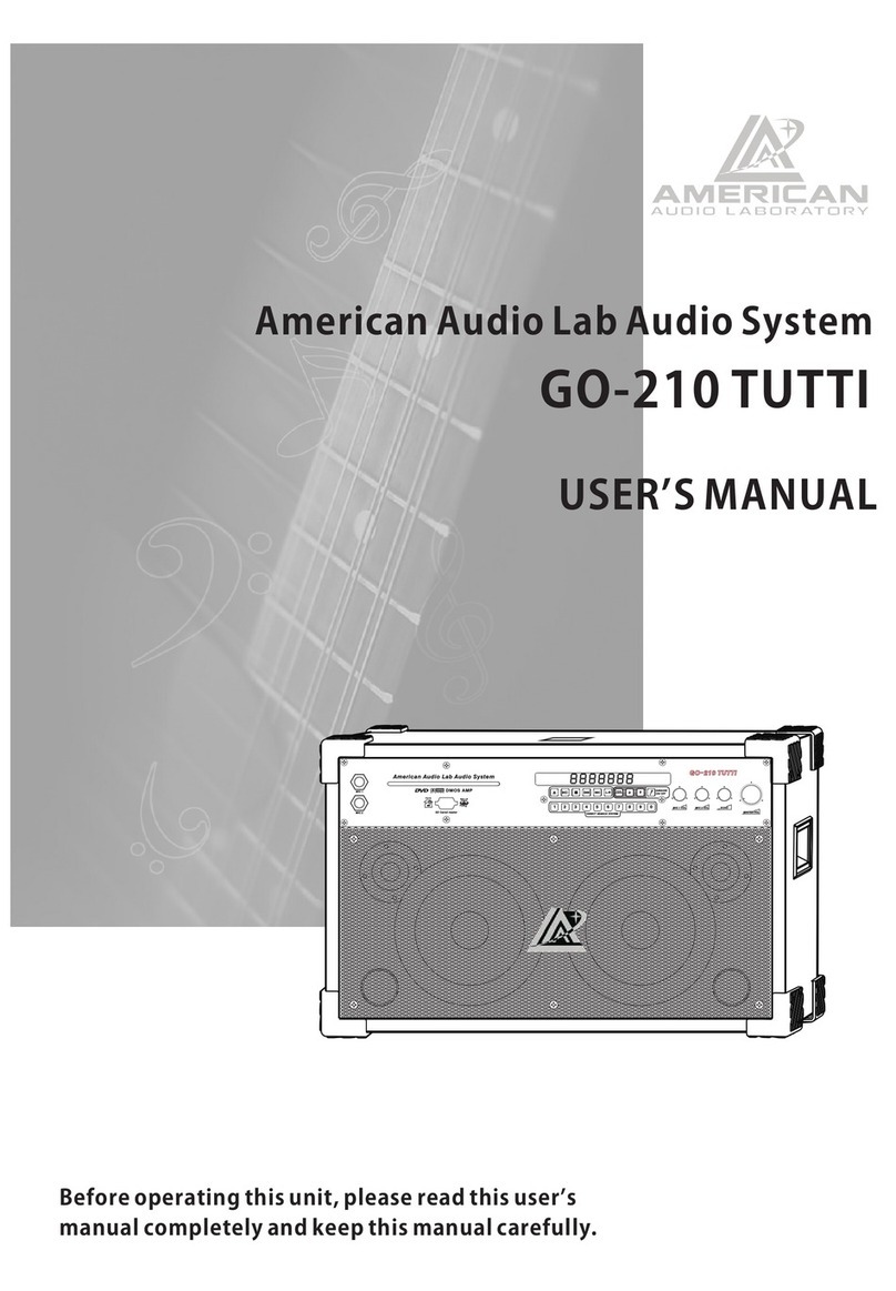 American Audio Lab GO-210 TUTTI User manual