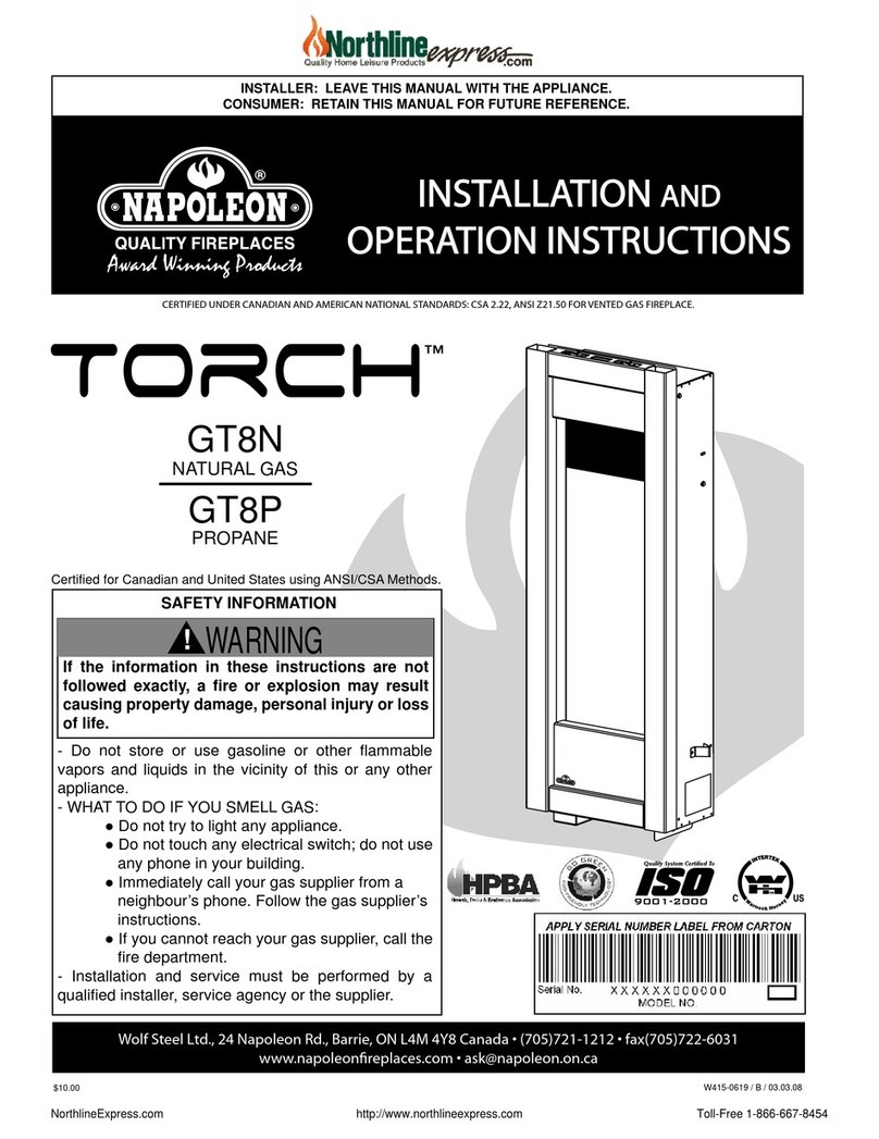 Napoleon TORCH GT8N Installation and operation instructions