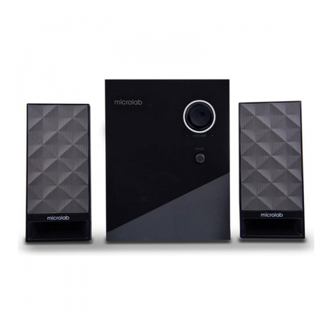 Microlab M-300 User manual Microlab M-300 User manual