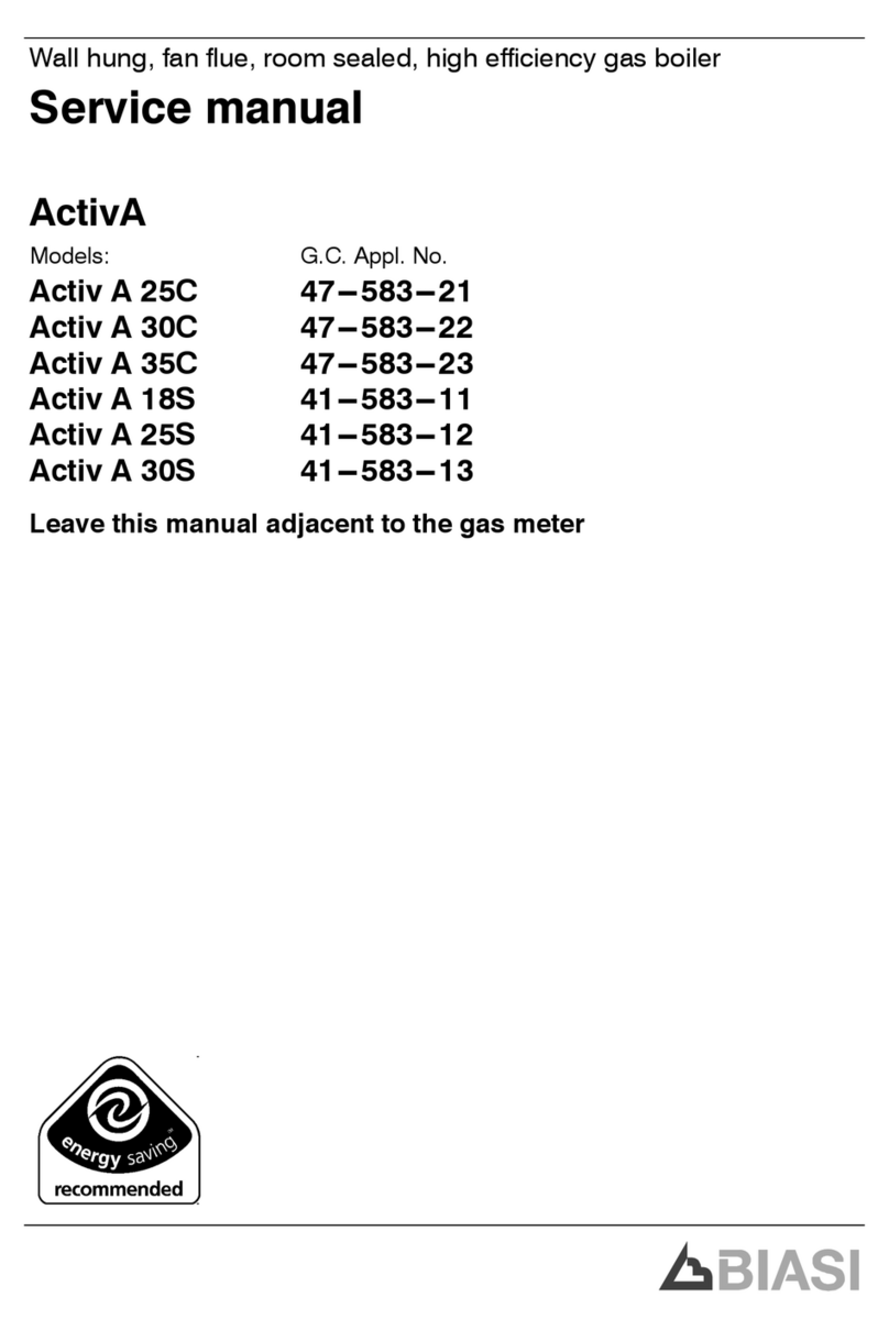 Biasi Activ A 25S Service manual