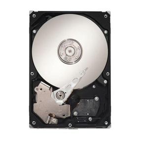 Seagate ST31250N User manual