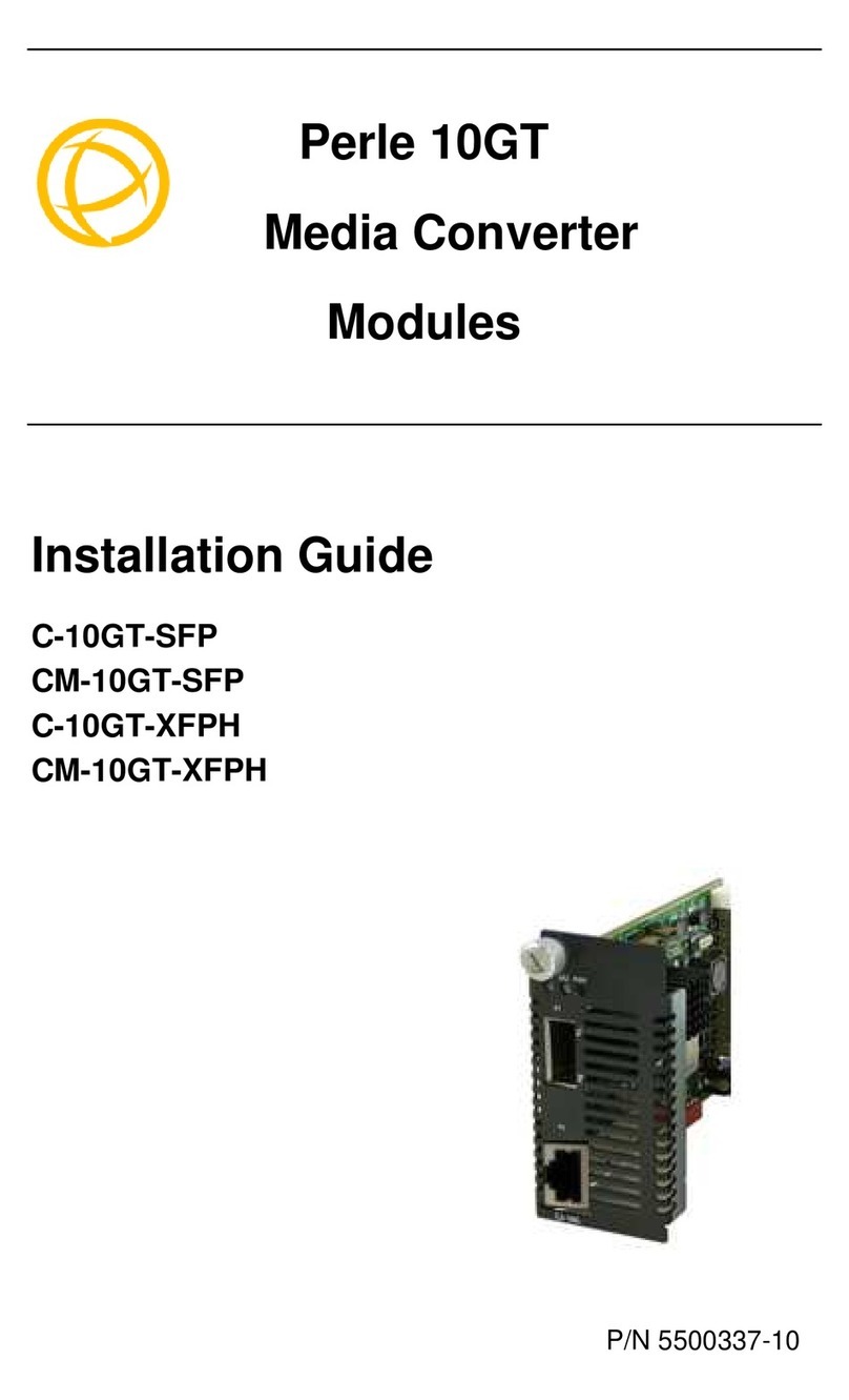 Perle C-10GT-SFP User manual