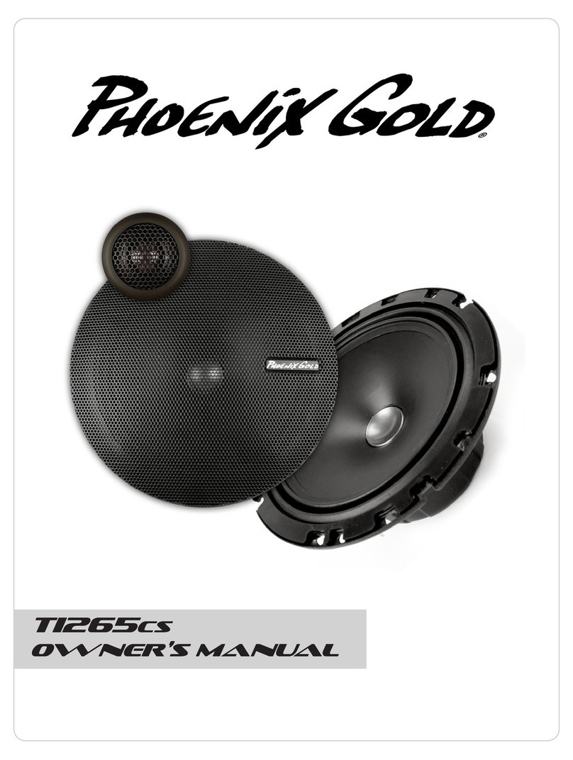 Phoenix Gold TI265CS owner's manual