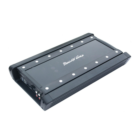 Phoenix Gold RX600.5 user manual