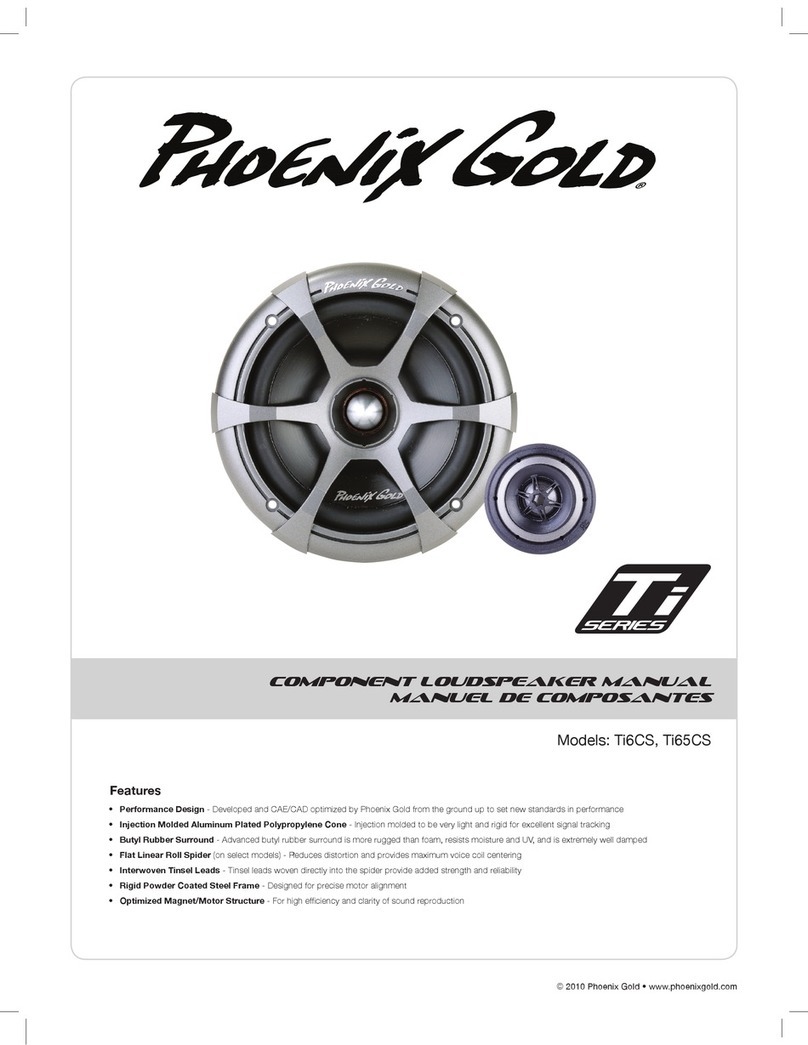 Phoenix Gold TI6CS user manual